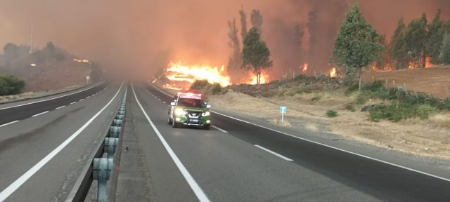 Incendios-Ñuble