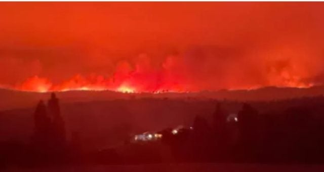 Situación crítica en Ninhue: alcalde pide a los habitantes que evacúen la comuna por incendio forestal