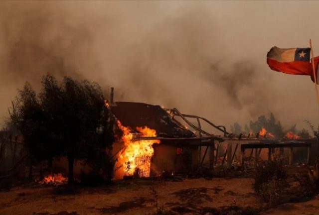 Las leyes que duermen en el Congreso para prevenir catástrofes por incendios forestales y regular las plantaciones