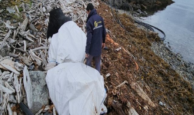 Detectan nuevos focos de contaminación proveniente de la actividad acuícola salmonera en Magallanes