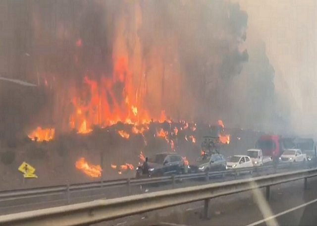 Fuego forestal arrasó con 12 viviendas en la comuna de Victoria: Continúa la emergencia en varias comunas del país