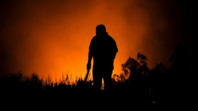 Subsecretario Monsalve: «Todo aquel que de manera intencional haya generado un incendio, va a ser perseguido con las máximas penas»