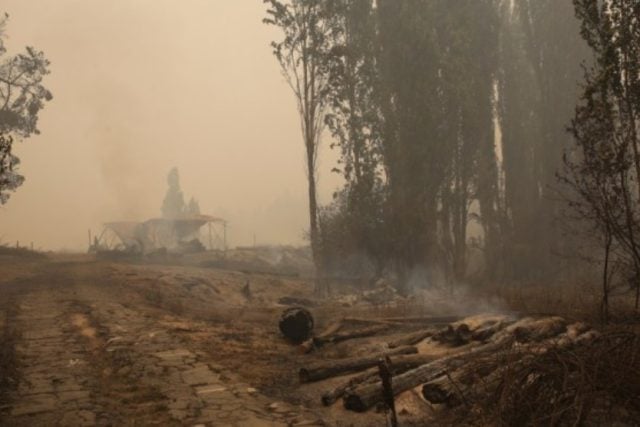 Van más de 425 mil hectáreas consumidas por incendios forestales en Chile