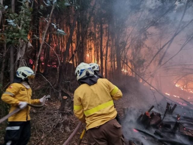 incendios-fiscal