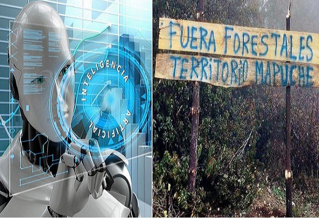 Inteligencia Artificial responde sobre lo que debería ocurrir para que se resuelva el conflicto forestal en territorio Mapuche