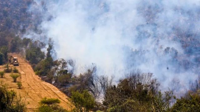 Incendios forestales en Chile dejan 22 muertos, piden ayuda a México