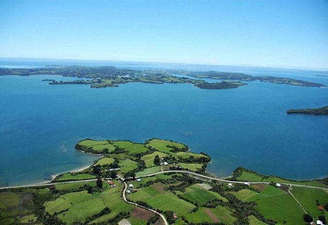 Chiloé: Alta relevancia mundial para la conservación de especies marinas como tiburones y rayas