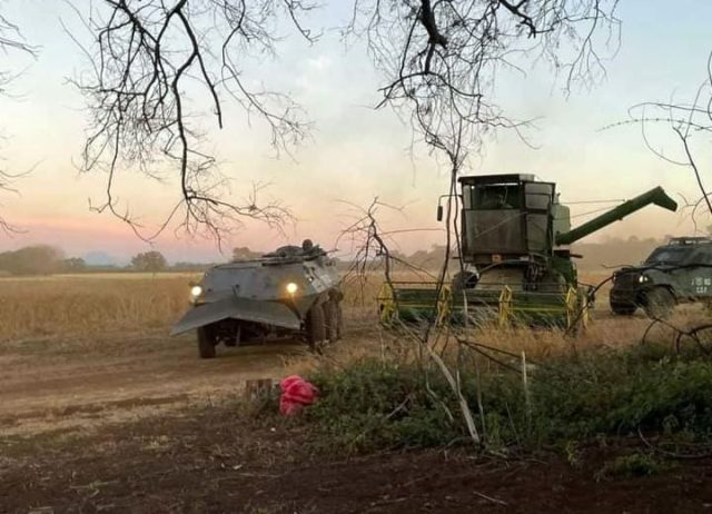 Una persona herida con un perdigón en el cuello dejó nuevo «procedimiento policial» contra la comunidad mapuche de Temucuicui