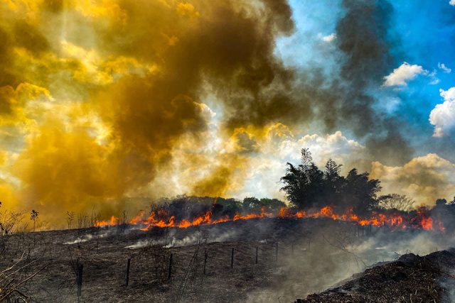 Científicos emiten duro ultimátum sobre la crisis climática