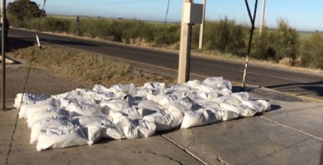 Decomisan 280 kilos de fentanilo que viajaba en un camión de paquetería