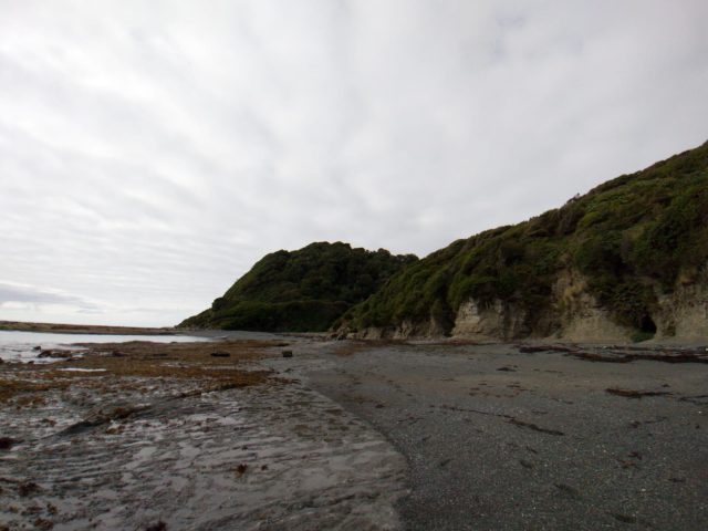 Comunidades mapuche williche de Chiloé destacan importancia de Espacios Costeros Marinos de Pueblos Originarios y llaman al Estado a facilitar su creación