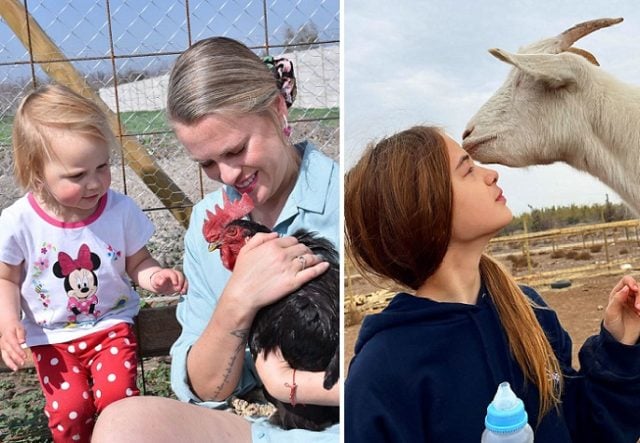 Santuario Empatía: un lugar donde se aman y respetan a los animales sin distinguir su especie