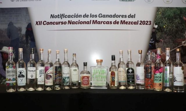 Proyectan aumentar 50% producción de mezcal en Puebla