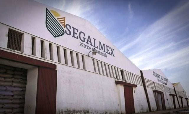 FGR detiene a Jesús Navarro, exdirector de Finanzas de Segalmex