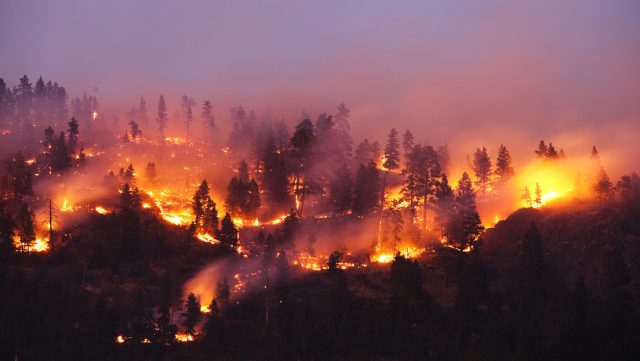 Récord de temperatura promedio: el mundo podría enfrentarse al regreso anticipado de El Niño