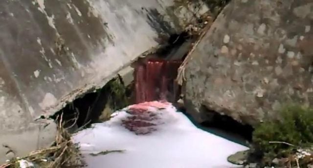 Nuevamente descargas contaminantes tiñen de rojo al río Alseseca