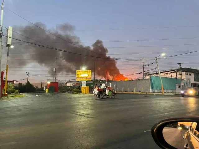 Central de Abasto de la CDMX reincorpora actividades tras incendio