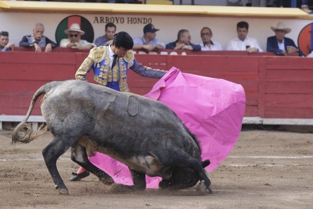 Revisarán iniciativa para prohibir tauromaquia y peleas de gallos en Puebla