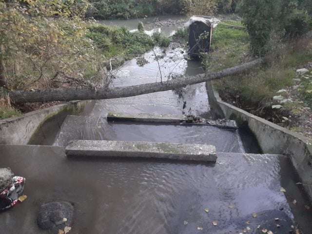 Por grave contaminación del estero Ovejería presentaron denuncia formal a superintendencias de Los Lagos