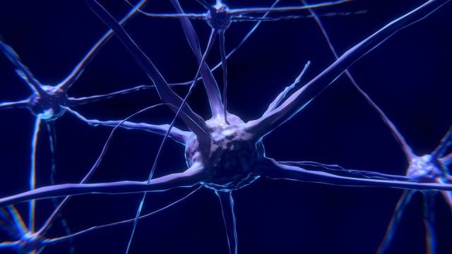 Crean herramienta de inteligencia artificial para detectar Parkinson antes de los primeros síntomas