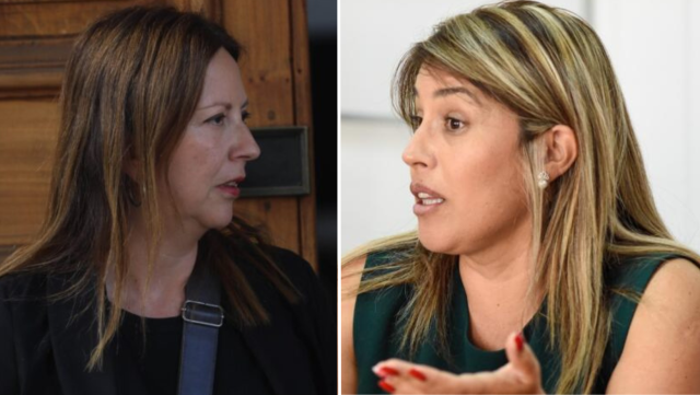 Bolsa de gatos en el PPD: Piergentili envía a Tribunal Supremo a vicepresidenta del partido que arremetió contra Tohá