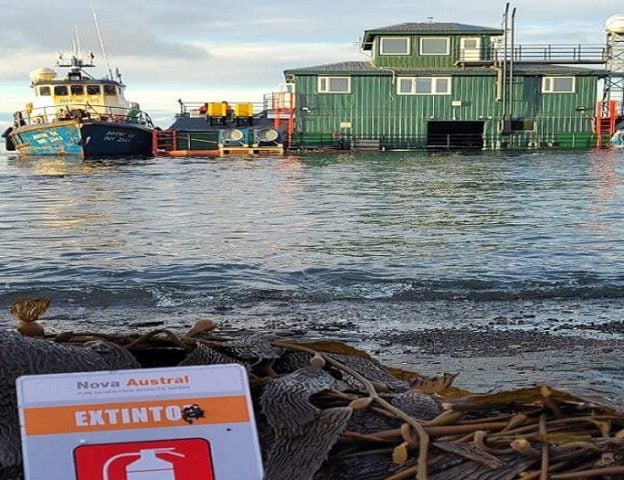 Nuevo desastre salmonero por vertido en aguas de Parque Nacional en la Patagonia Austral