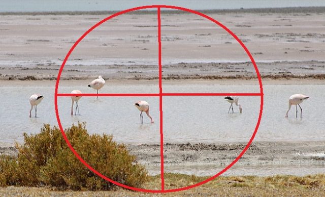  Salar de Tara, Reserva Nacional Los Flamencos,  en la mira de la industria del litio