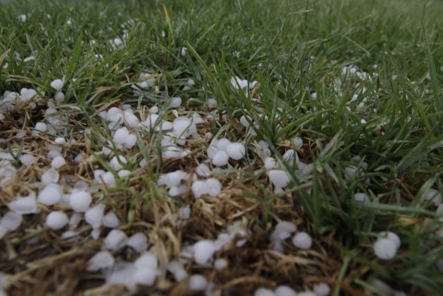 Entregan cheques a 305 campesinos afectados por granizada en Puebla