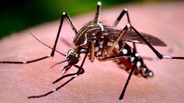 Suman tres víctimas mortales de dengue en Puebla