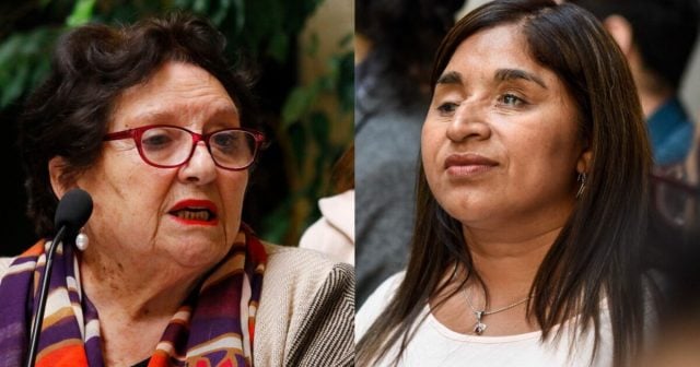 Corte de Santiago acoge desafuero de María Luisa Cordero por injurias contra Fabiola Campillai