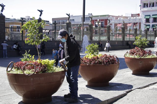 Ingresos de parquímetros van a obras en Centro Histórico