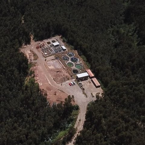 Seremi de Energía del Biobío dio visto bueno al proyecto de la empresa Aclara para explotar tierras raras en Penco