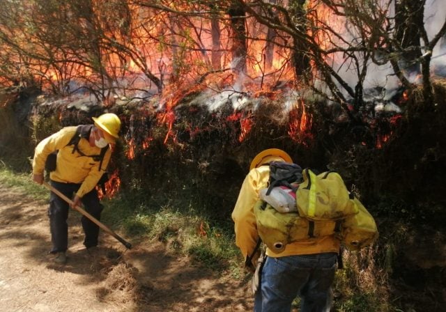 Incendio en Zacatlán: evacuan a los habitantes de tres comunidades