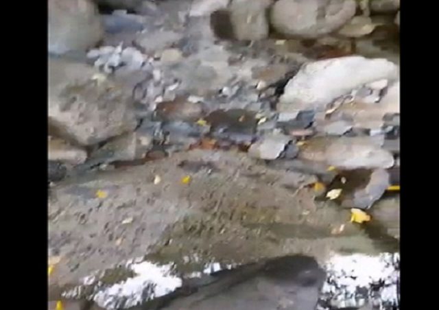 Denuncian que planta de empresa salmonera habría secado río en Cochamó