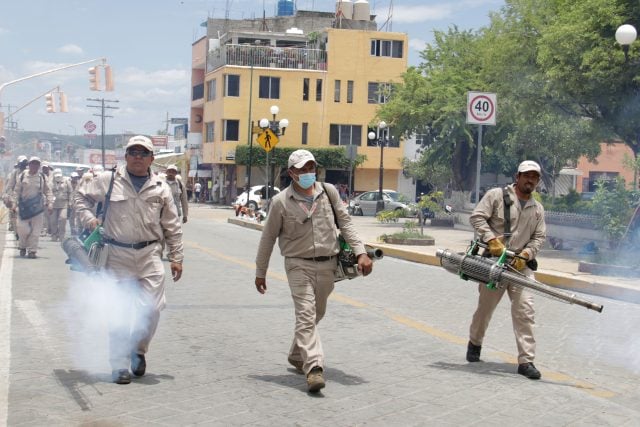 Puebla, sin defunciones por dengue en últimas 24 horas: Salud