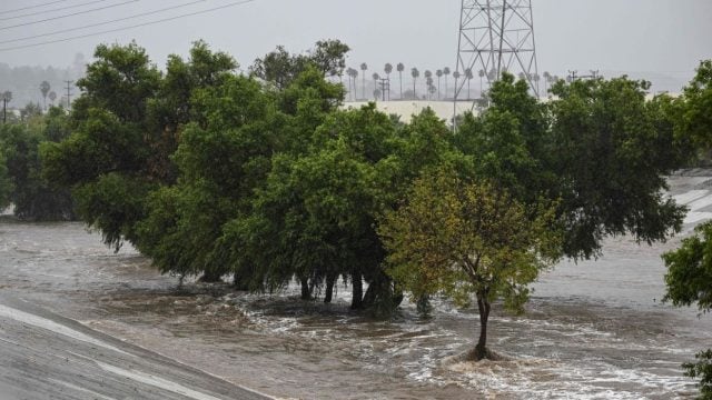 Estados Unidos: tornados dejan cinco muertos en Michigan