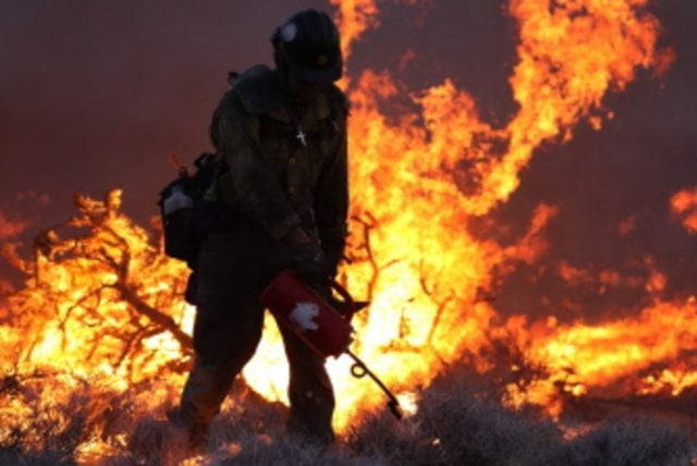 Incendios forestales en EE.UU. se extienden a 380 kilómetros cuadrados