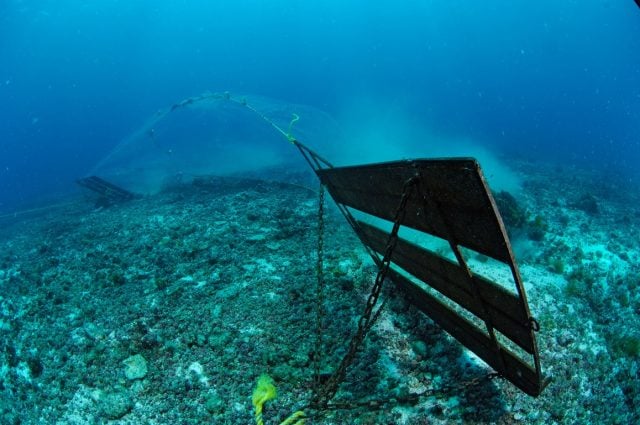 Con Chile como protagonista: Países del mundo dicen «no» a la explotación minera del fondo marino