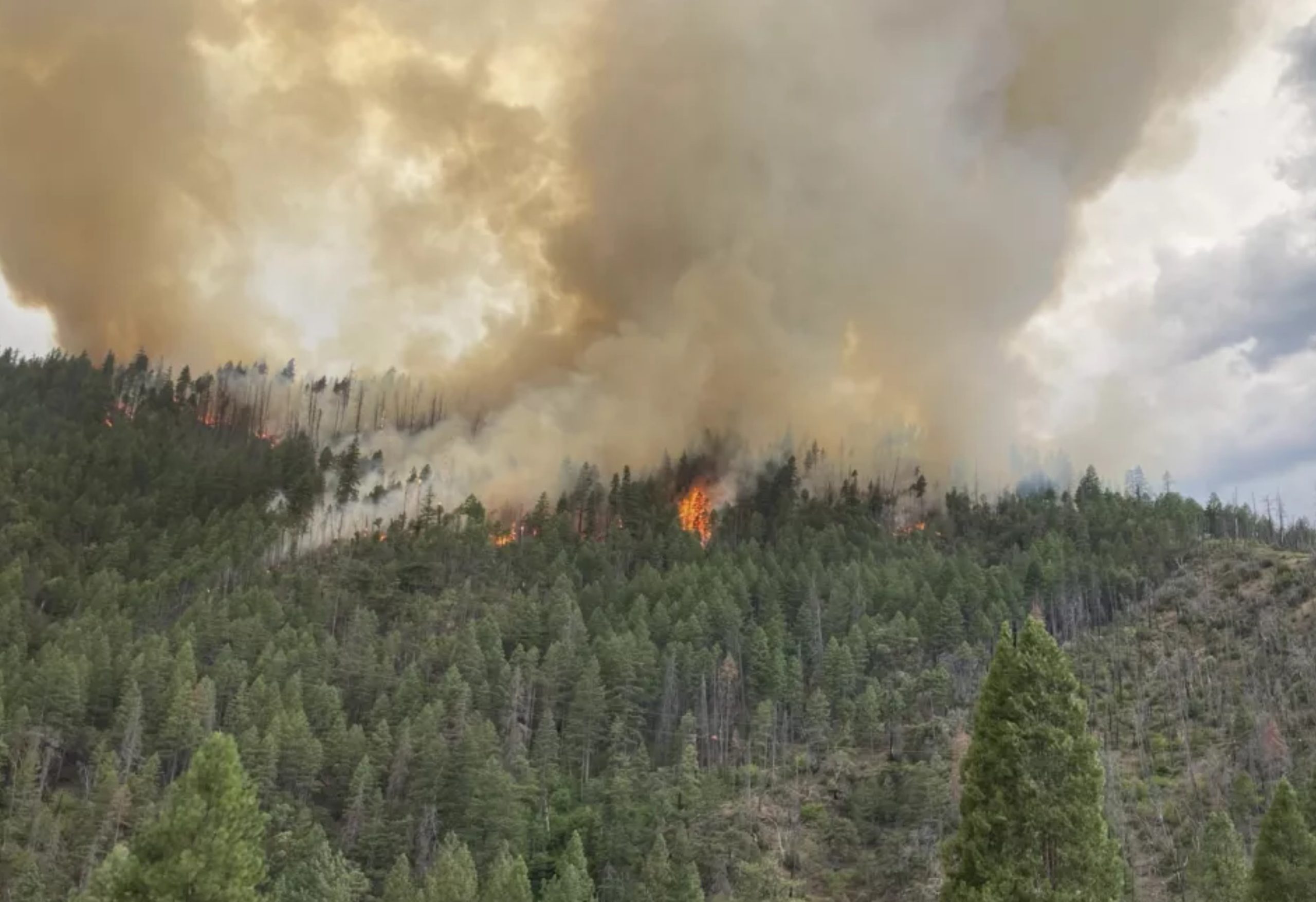 Evacuaciones y cierres viales por incendio forestal en California