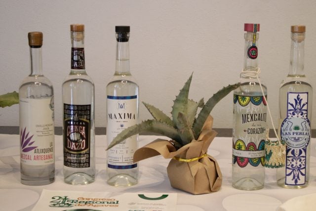 Gobierno estatal anuncia segunda edición de expo «Mezcal Orgullo Puebla»