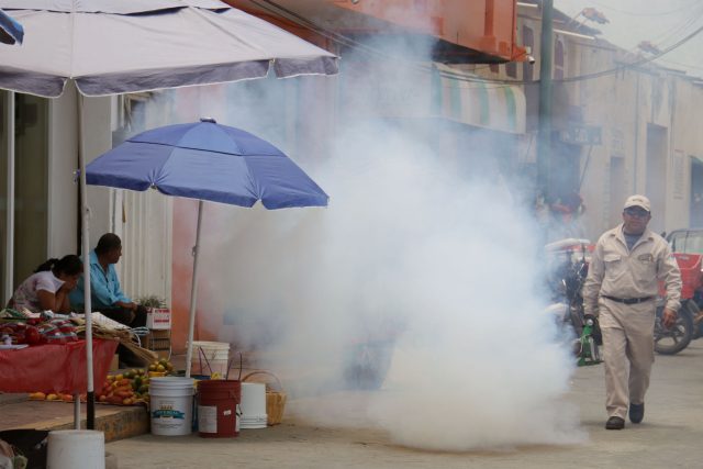 Salud Puebla reporta 14 hospitalizados por dengue