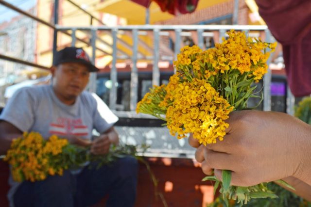 ¿Ya pusiste tu cruz de pericón?, te contamos de qué se trata