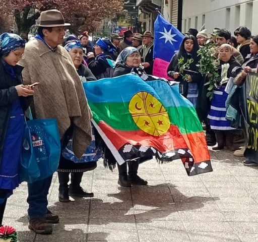 Comunidades y autoridades mapuche de Freire manifiestan su rechazo a proyecto de línea de alta tensión