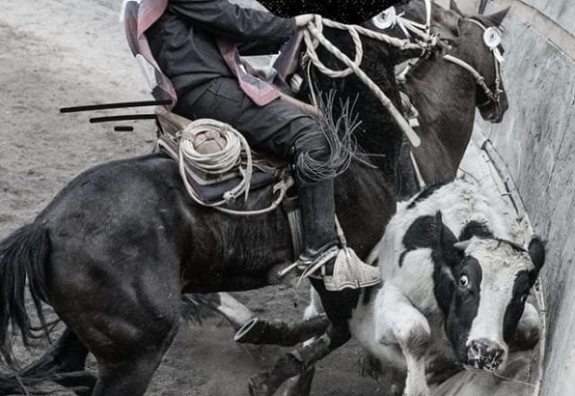 Organizaciones convocan a manifestarse contra proyectos que buscan imponer al rodeo como “deporte nacional”