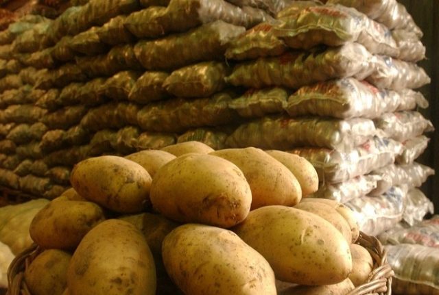 Alza en el precio de las papas: Biodiversidad Alimentaria advierte llegada de especies transgénicas desde Argentina