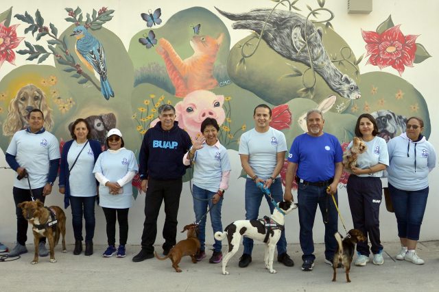 Terapia con animales de BUAP cumple un año de «salvar» a jóvenes