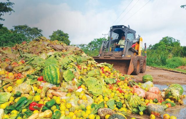 Hasta 30% de alimentos producidos en el mundo se desperdician