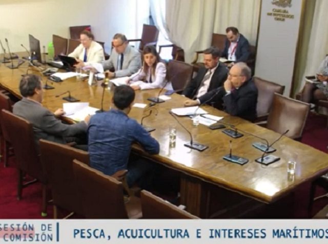 Comisión de Pesca de la Cámara oficiará a Defensa y Economía por el caso de las 457 concesiones salmoneras con causal de caducidad