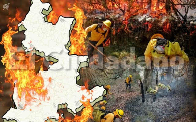 Incendios en Puebla consumen 8 mil 600 hectáreas de áreas verdes