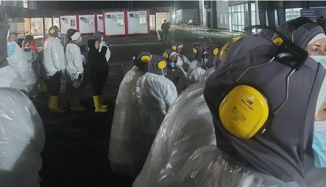 Alerta en Puerto Montt: Trabajadores de planta salmonera fueron evacuados por emergencia química